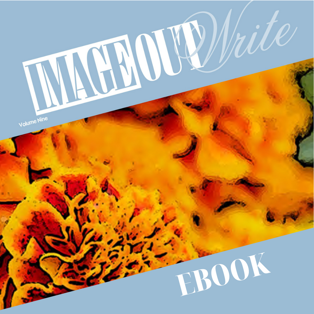 ImageOutWrite: Volume 9 (2020) - EBOOK